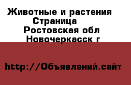  Животные и растения - Страница 10 . Ростовская обл.,Новочеркасск г.